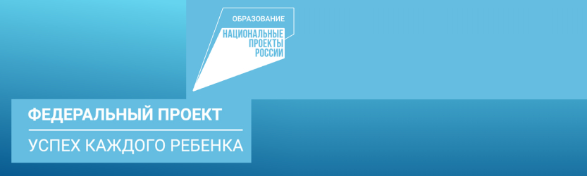 успех каждого ребенка федеральный проект